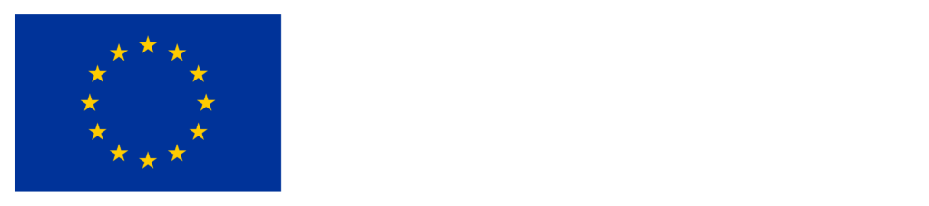 Flag logo of the European Union and text Co-Funded by the European Union